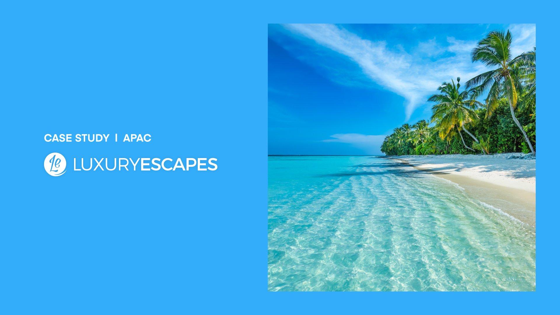 Luxury Escapes and UID2.0 - Case Study Results: Image of palm trees along an ocean