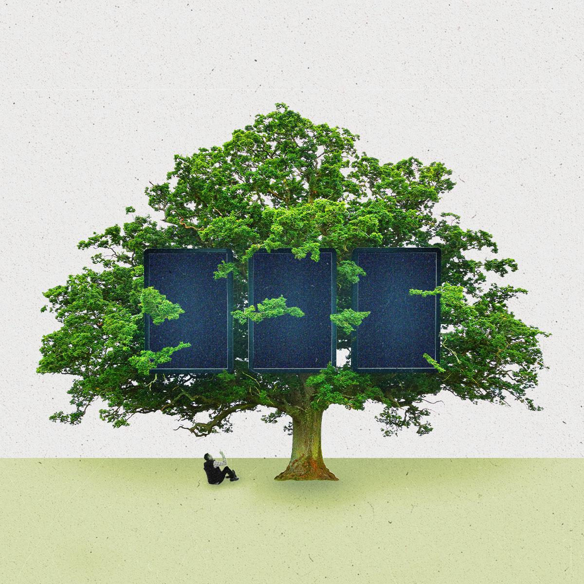 Figure sitting below an oak tree with three digital billboards within it.