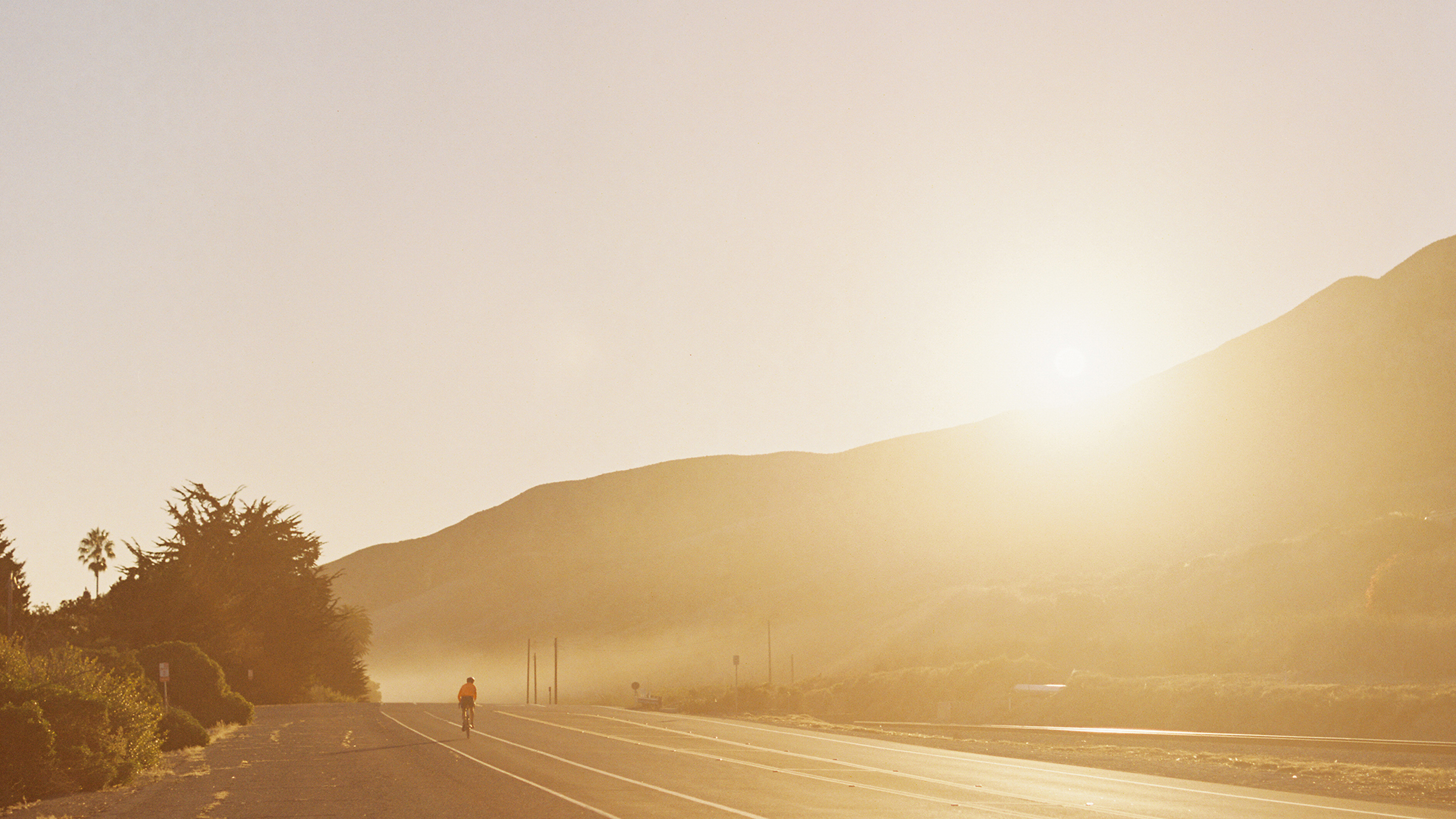 Data Management Platform Dmp Data Management Marketing Tools The Trade Desk